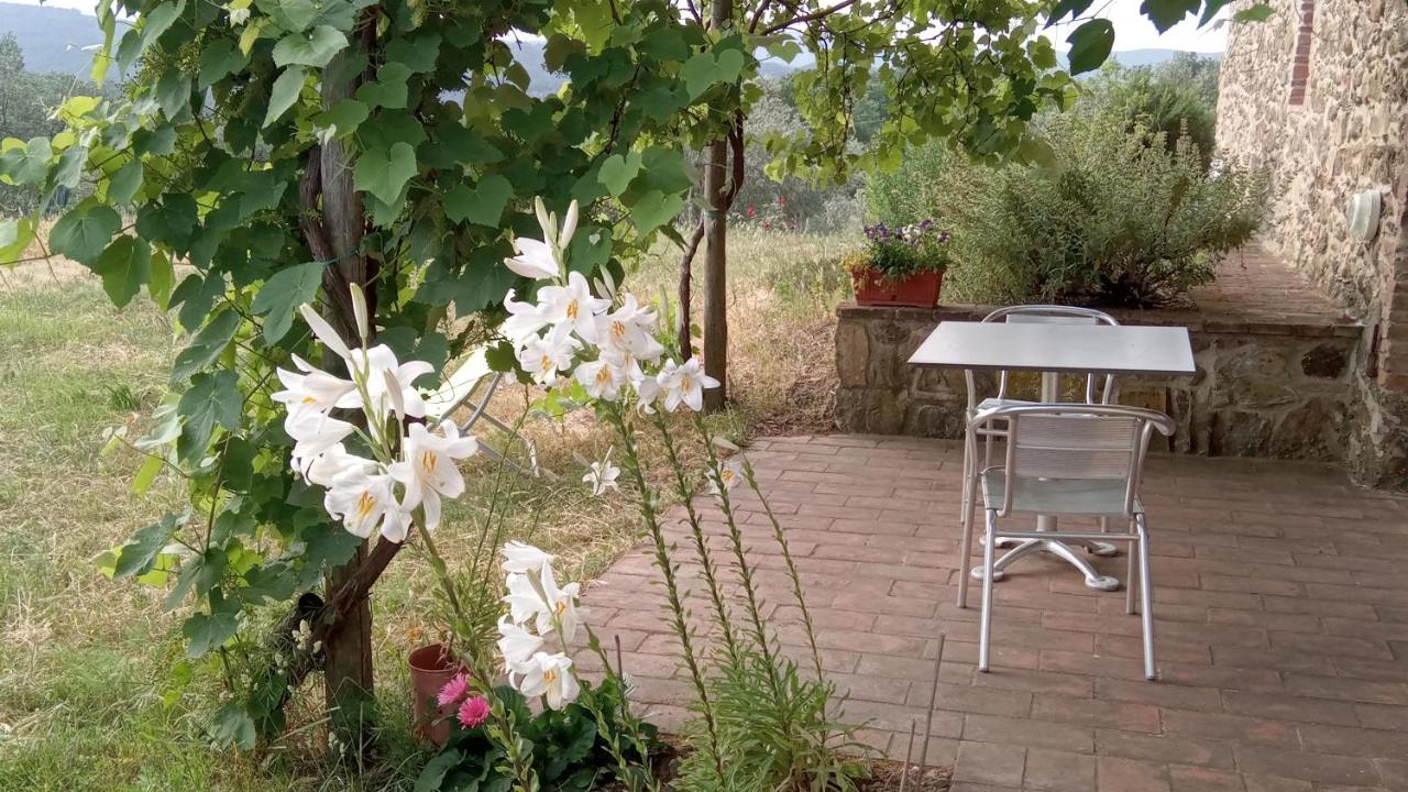 Sport Bikes And Nature Monterotondo  Exterior photo
